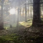 Waldnest Odenwald 3*