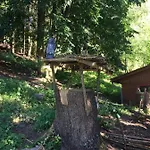 Waldnest Odenwald