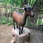 招待所 Waldnest Odenwald 瓦尔德·米歇尔巴赫