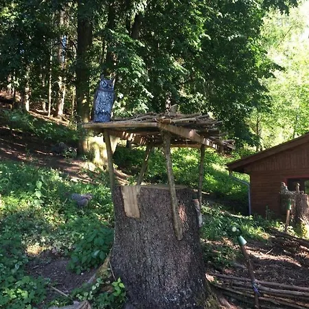 Waldnest Odenwald
