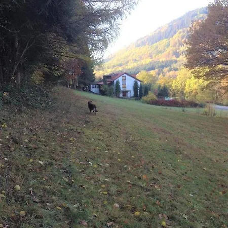 Waldnest Odenwald