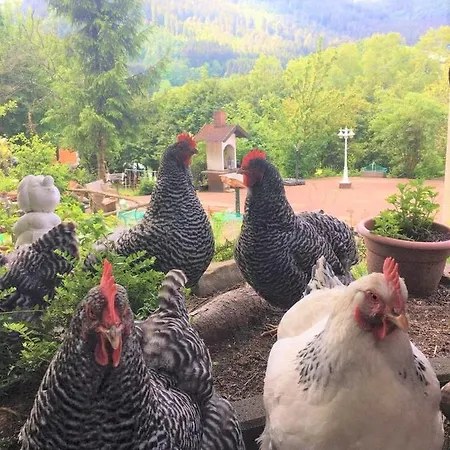 Waldnest Odenwald ゲストハウス